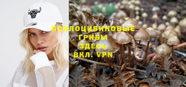 дживик Балабаново