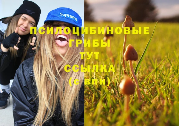 дживик Балабаново