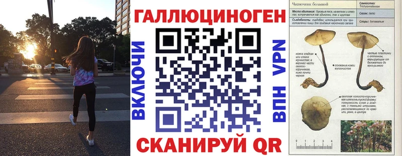 Псилоцибиновые грибы прущие грибы Усть-Джегута