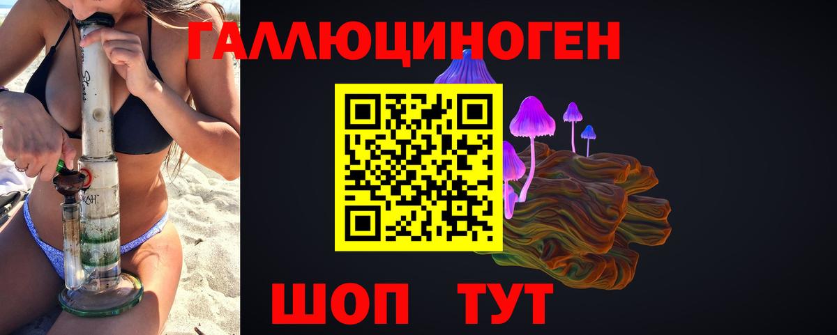 Галлюциногенные грибы Psilocybine cubensis  Вход с VPN  Усть-Джегута  Галлюциногенные грибы мицелий 
